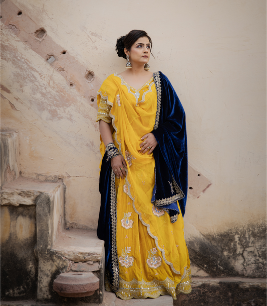 Embroidered Lehenga with blouse