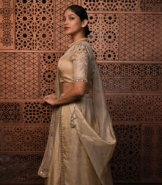 Vegas gold lehenga
